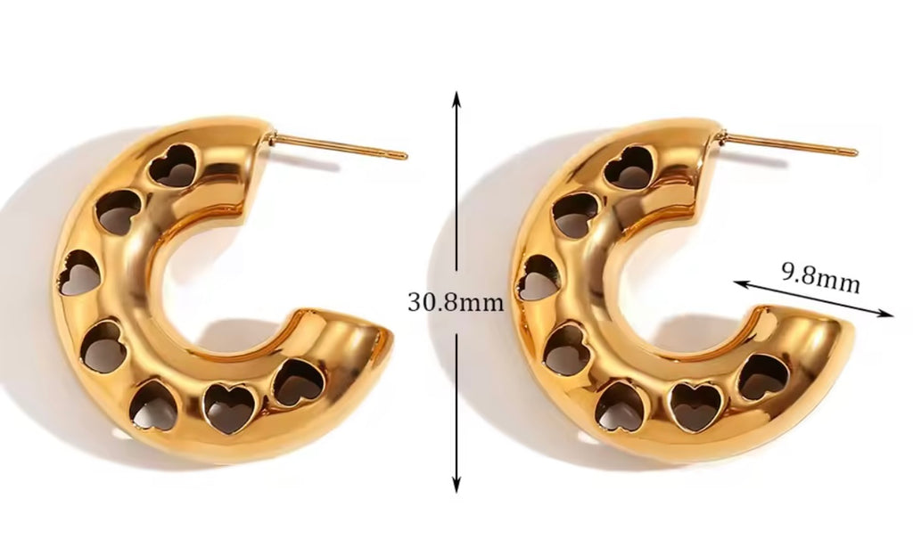 Baggi earrings